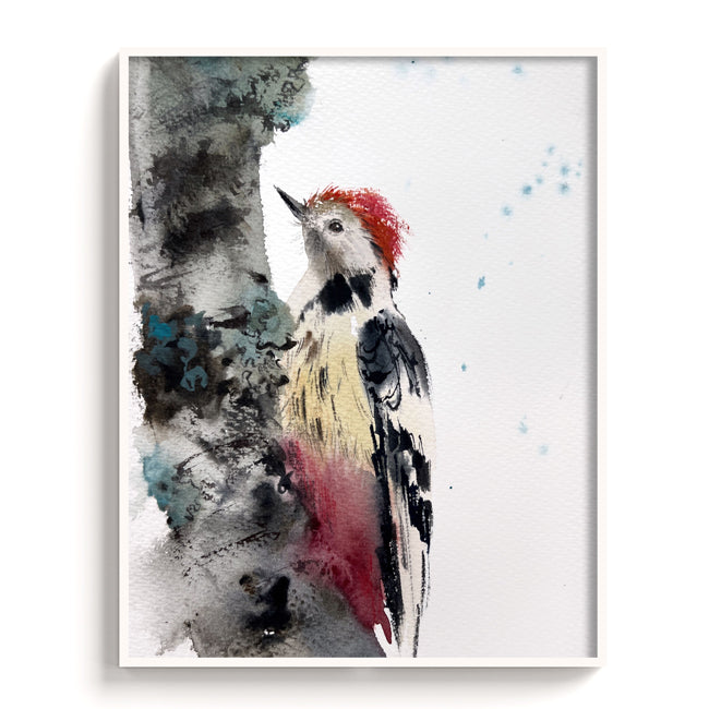 Birds-IX - The Manify