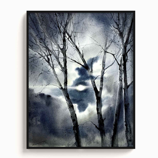 Landscape - The Manify