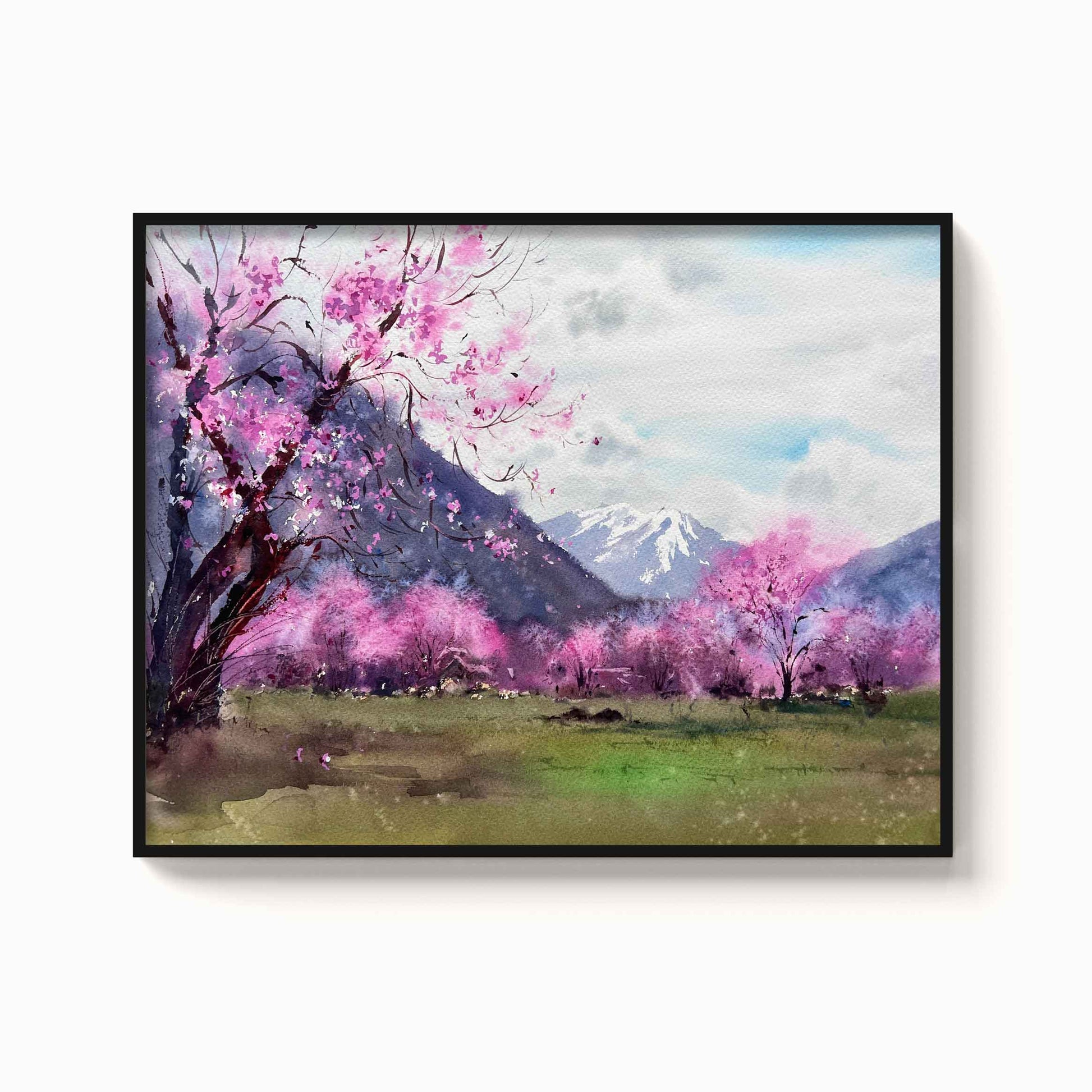Landscape - The Manify