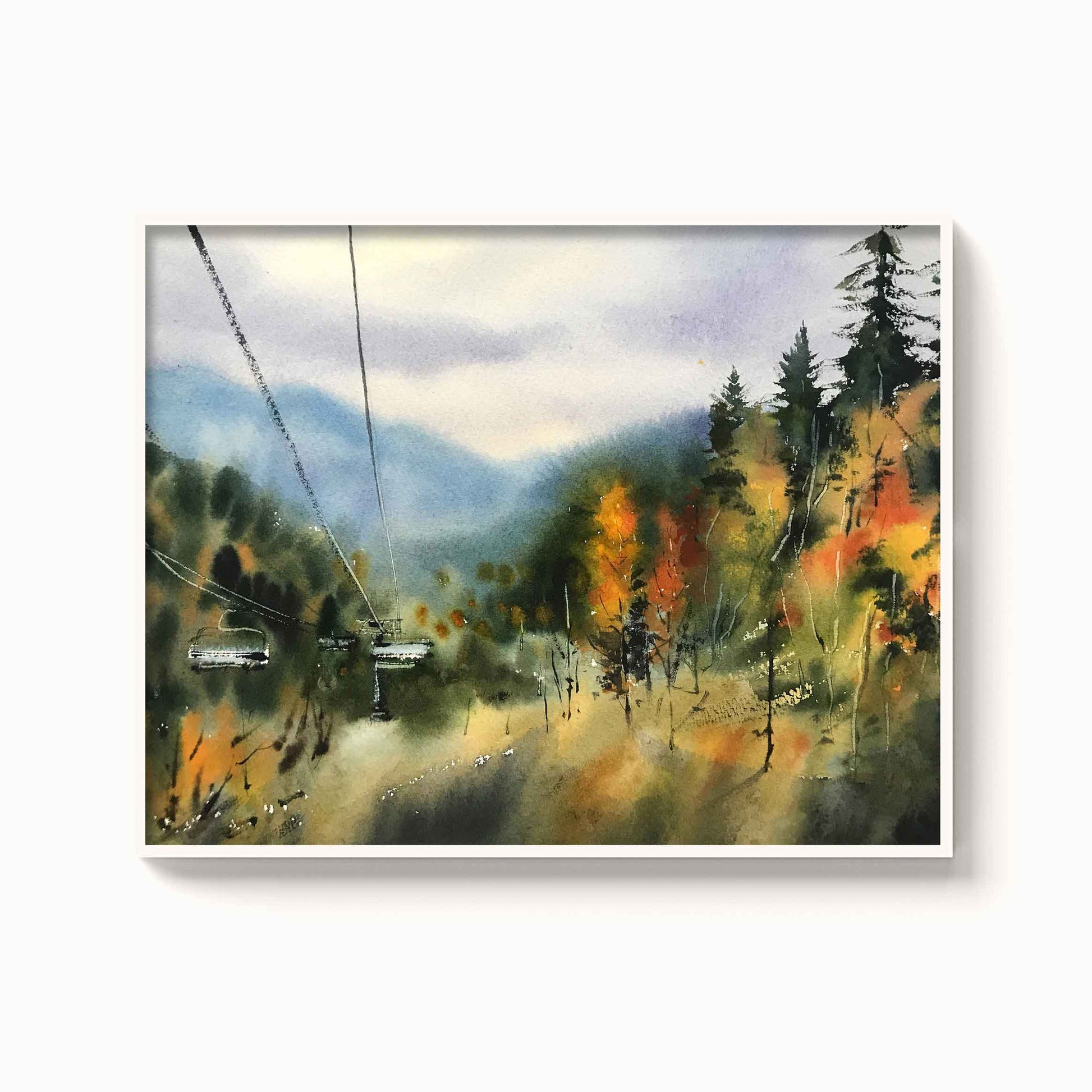 Landscape - The Manify