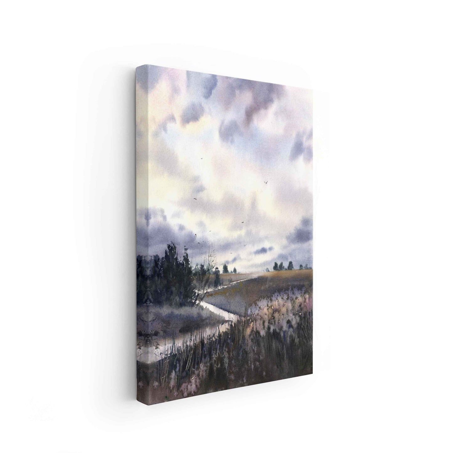 Landscape - The Manify