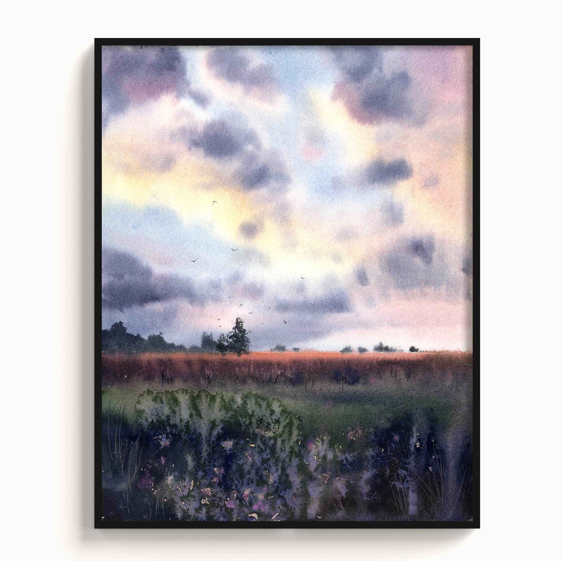 Landscape - The Manify