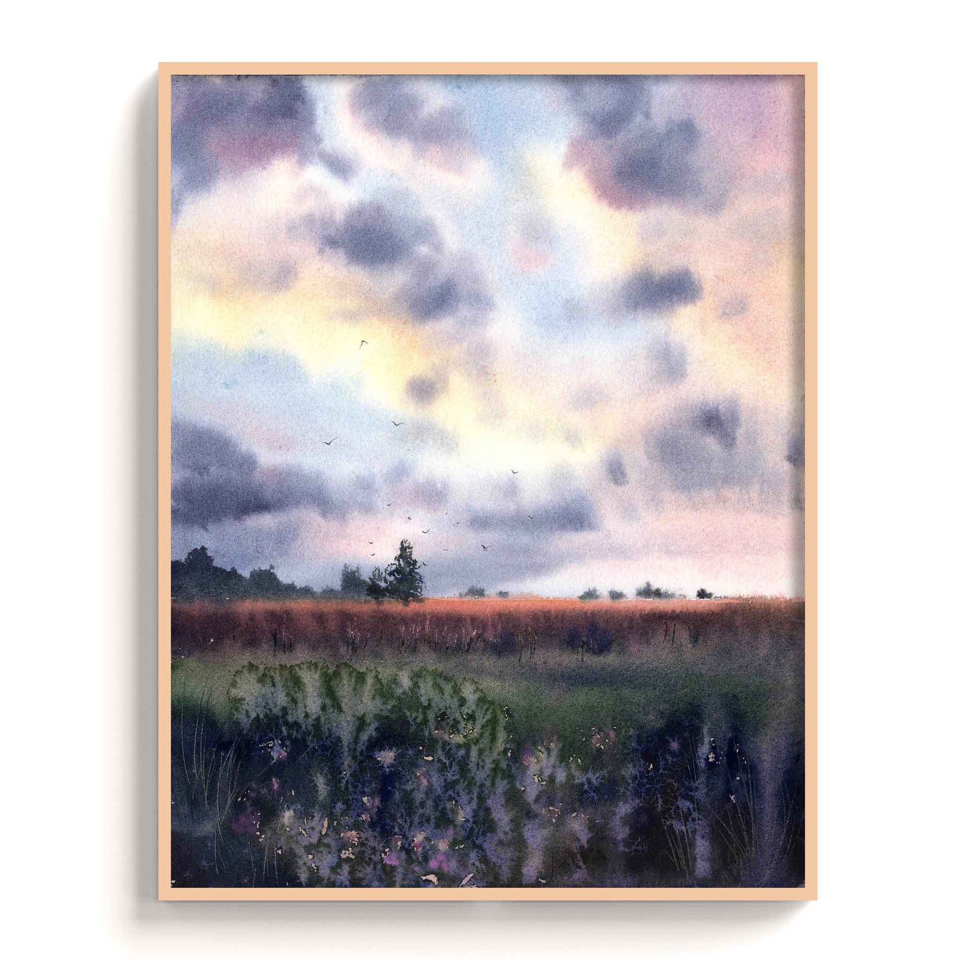 Landscape - The Manify
