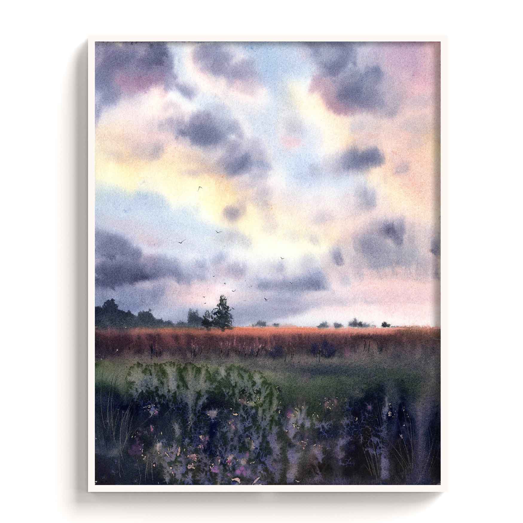 Landscape - The Manify