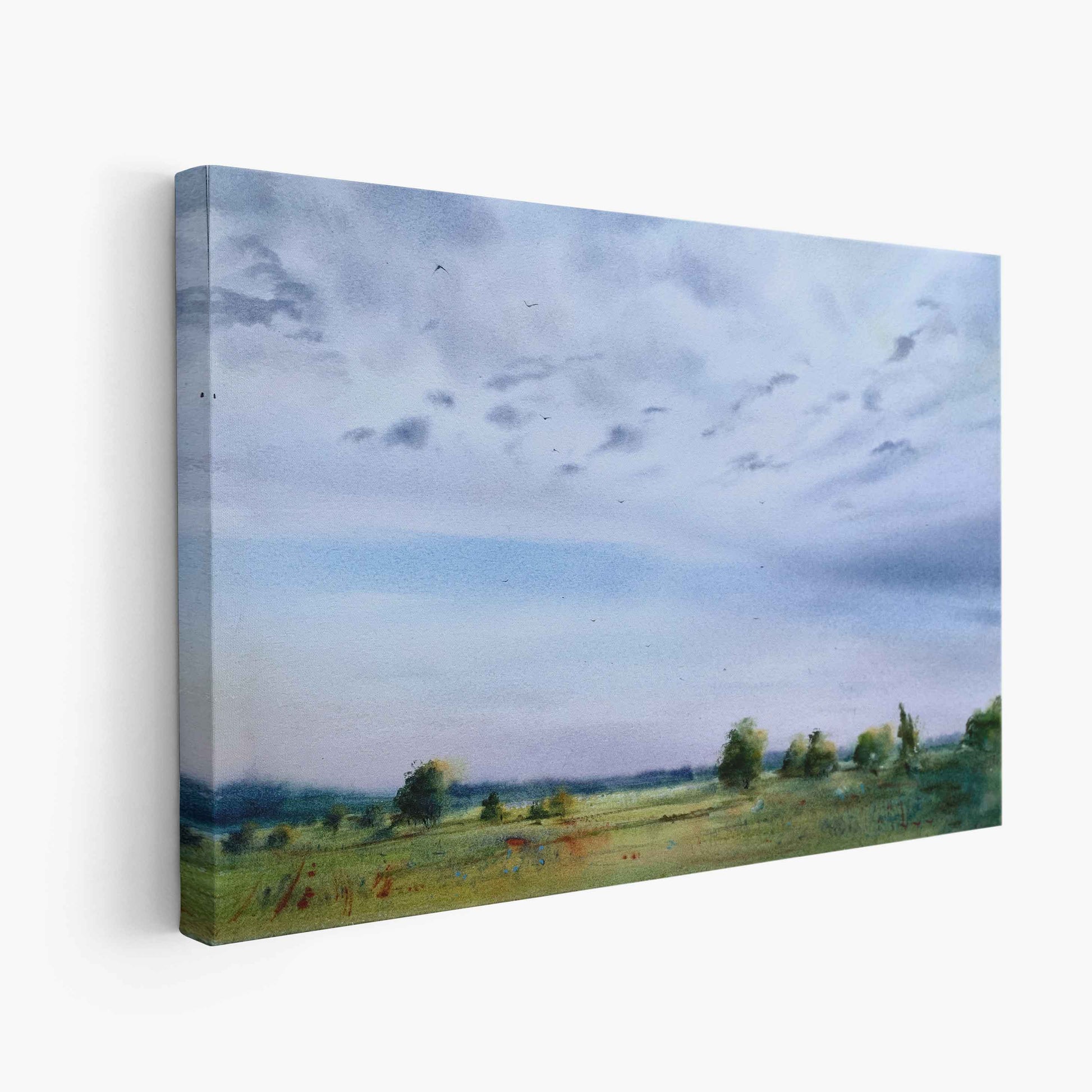 Landscape - The Manify