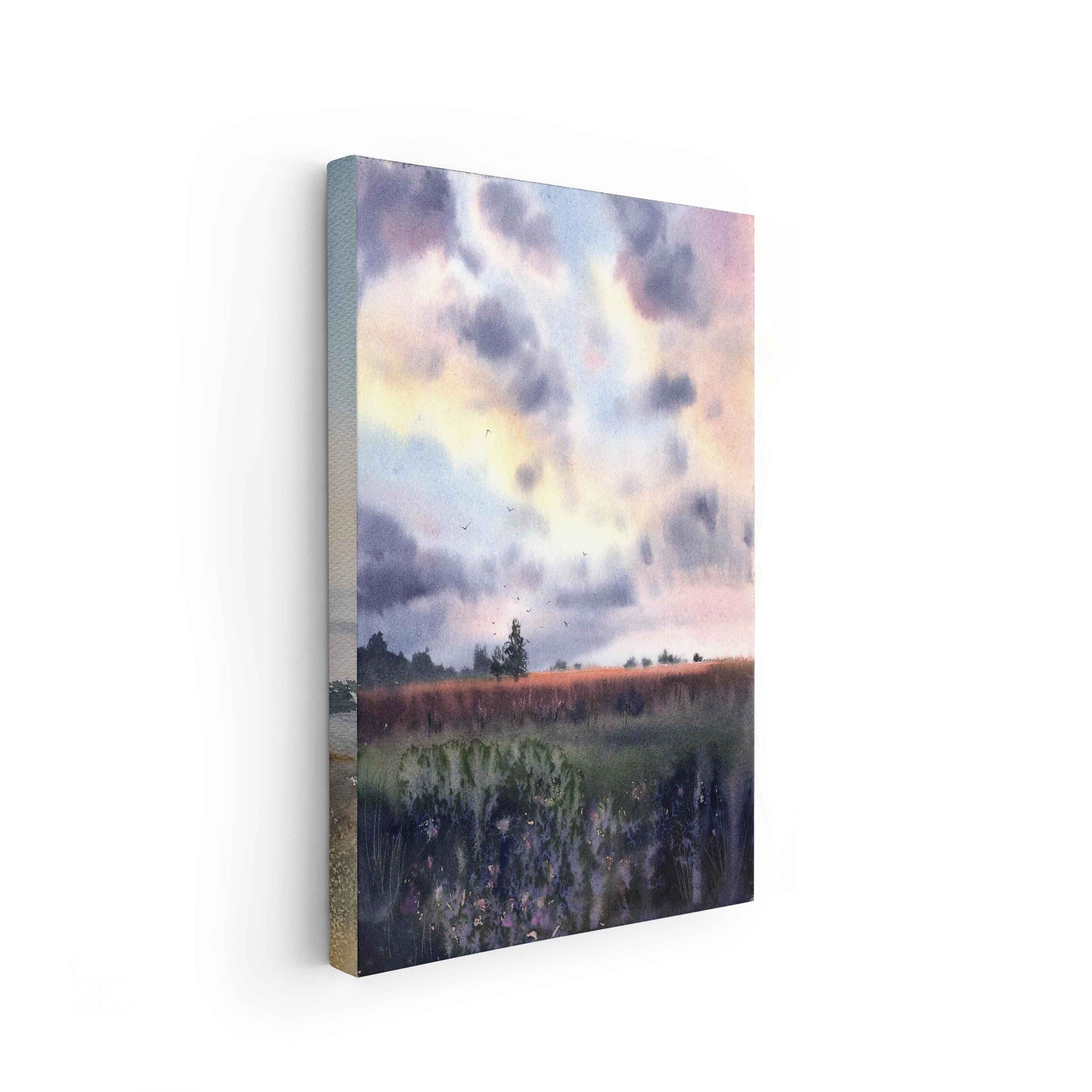 Landscape - The Manify