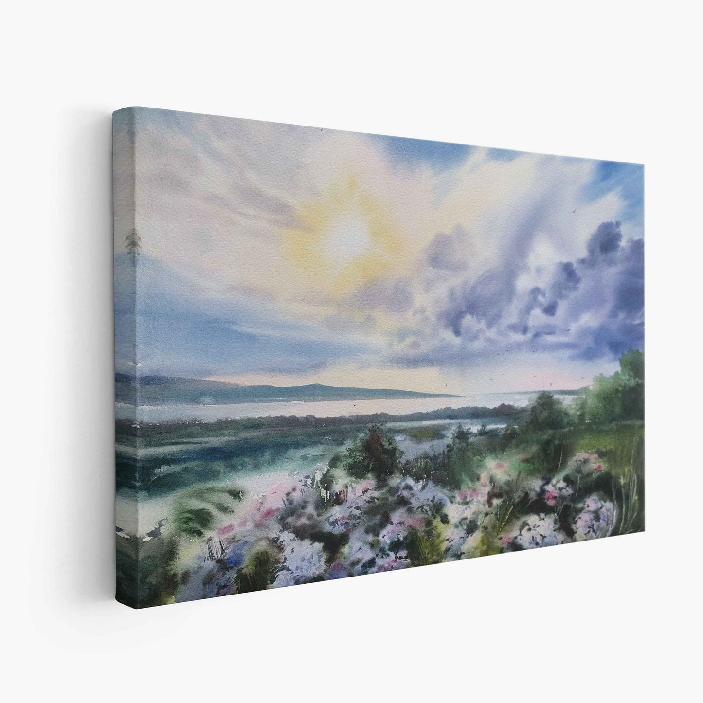 Landscape - The Manify