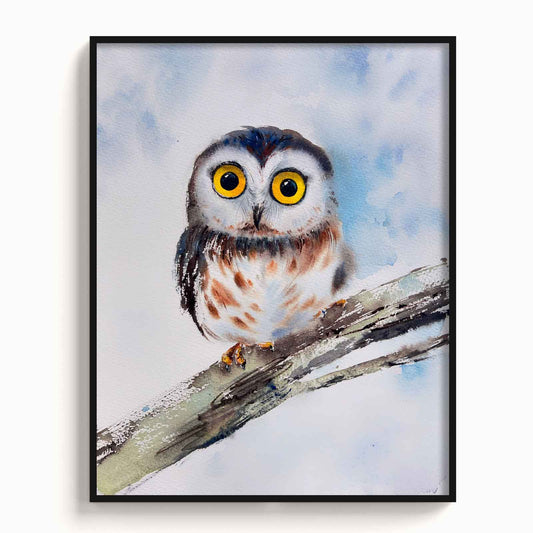 Owl - The Manify