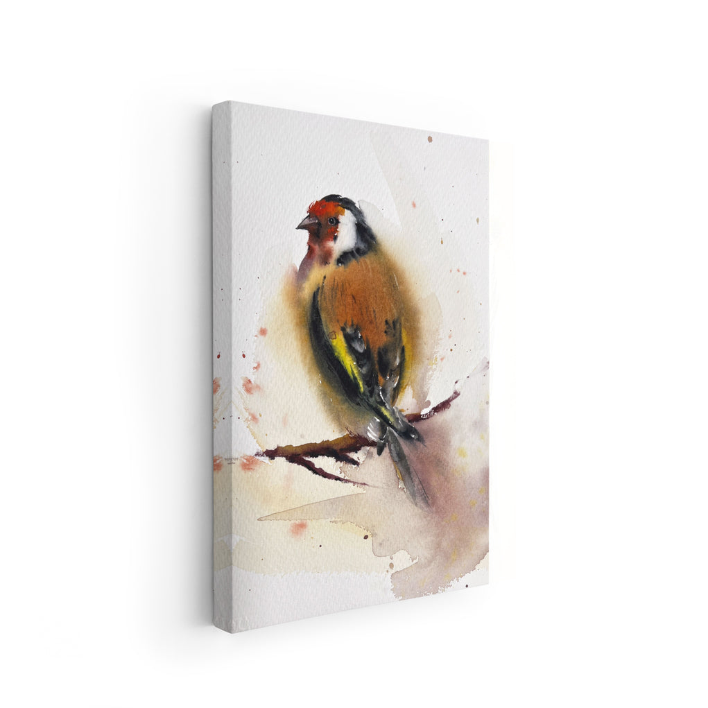 Birds-XI - The Manify