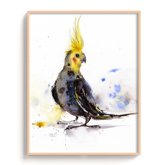 Birds-XII - The Manify
