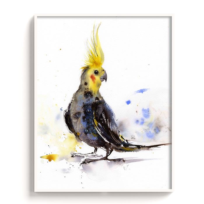 Birds-XII - The Manify