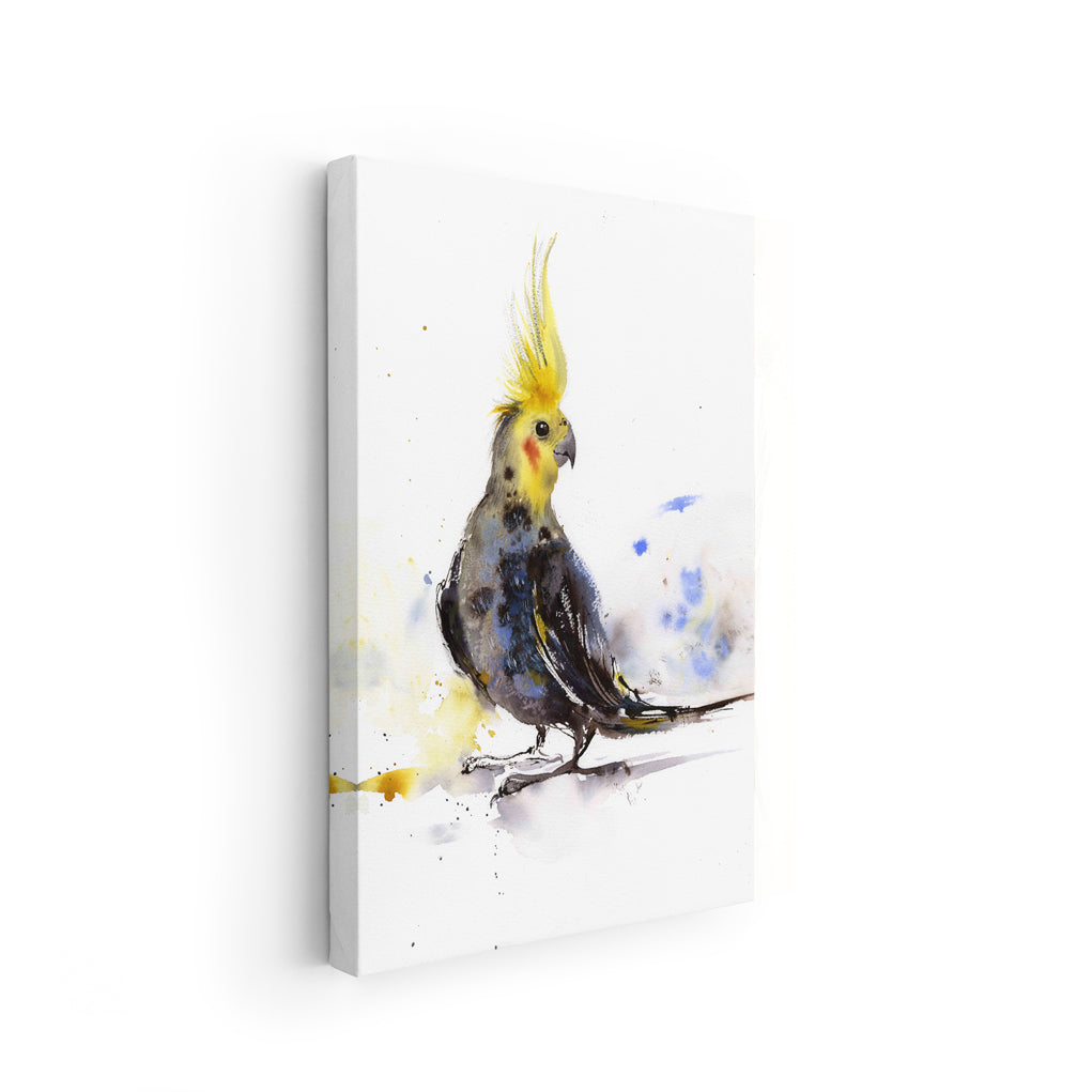 Birds-XII - The Manify
