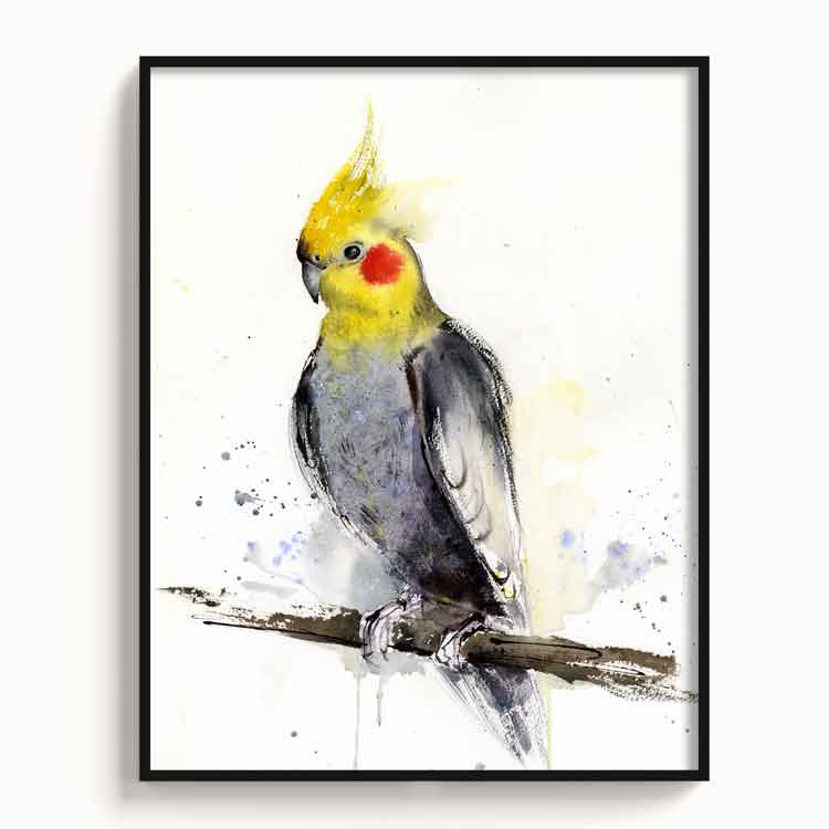 Birds-XIII - The Manify