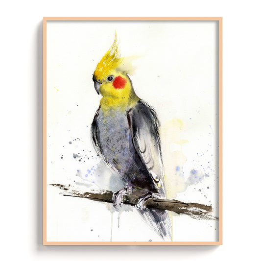 Birds-XIII - The Manify