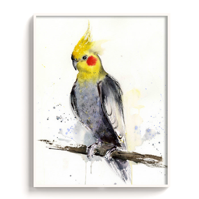 Birds-XIII - The Manify