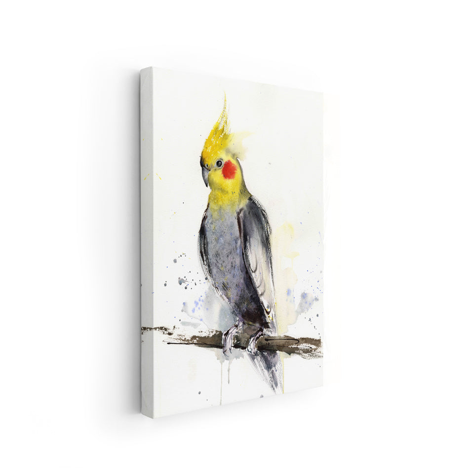 Birds-XIII - The Manify