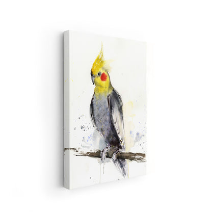 Birds-XIII - The Manify