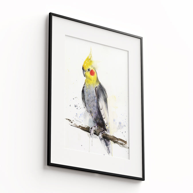 Birds-XIII - The Manify