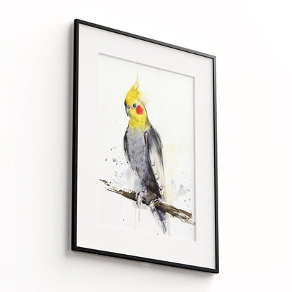 Birds-XIII - The Manify