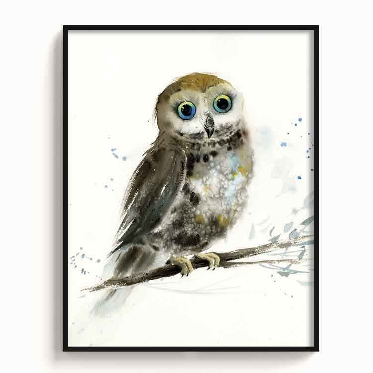 Owl-VIII - The Manify
