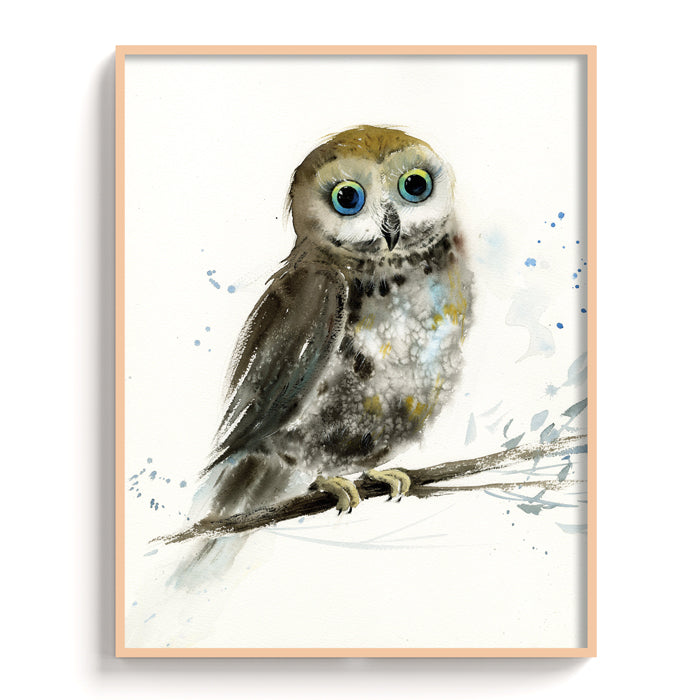 Owl-VIII - The Manify