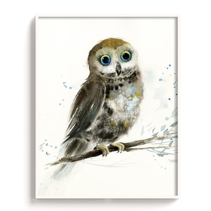 Owl-VIII - The Manify
