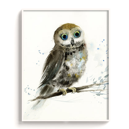Owl-VIII - The Manify