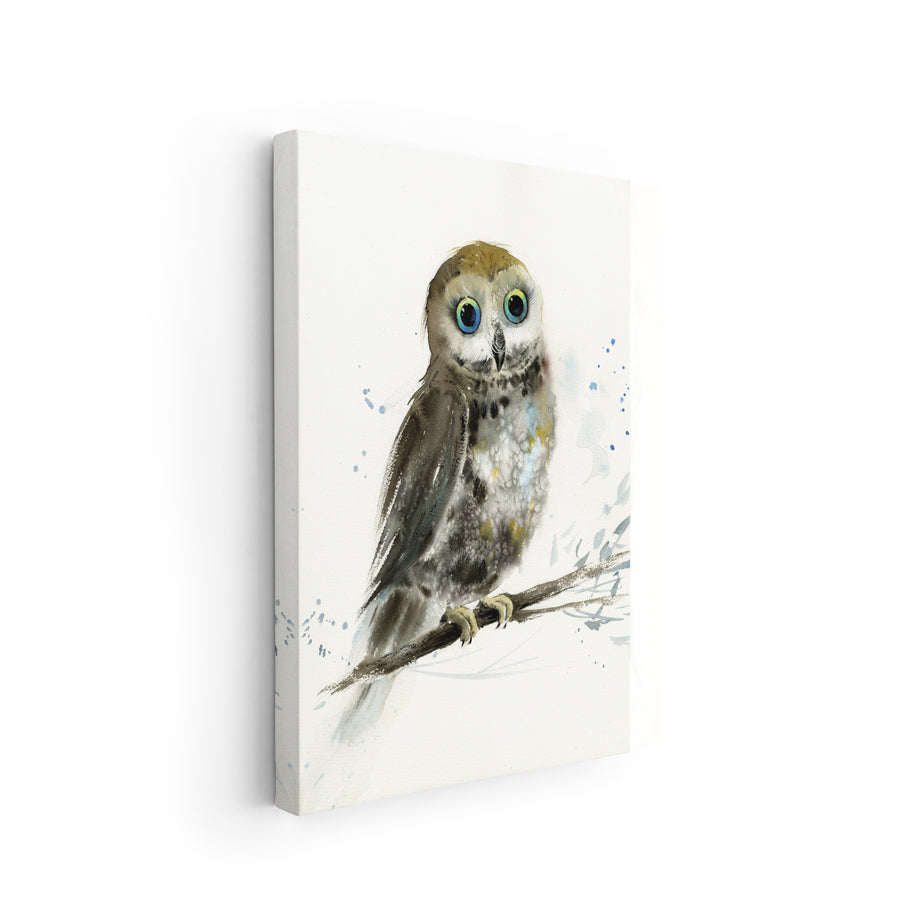 Owl-VIII - The Manify
