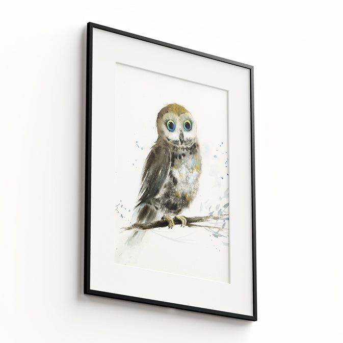 Owl-VIII - The Manify