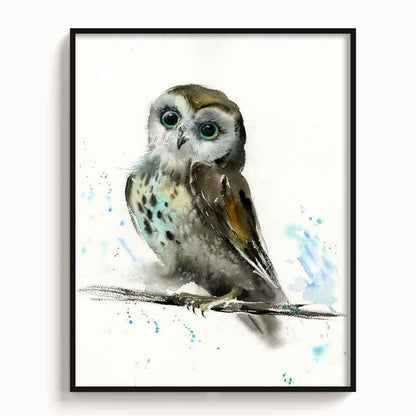 Owl-IX - The Manify