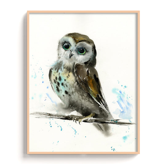 Owl-IX - The Manify