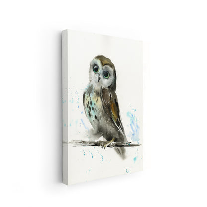 Owl-IX - The Manify