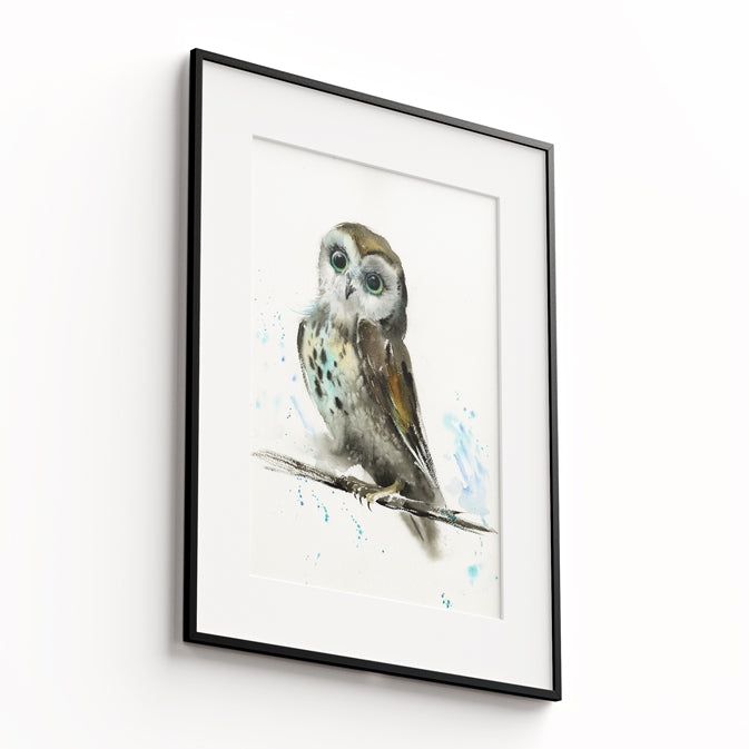 Owl-IX - The Manify