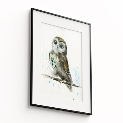Owl-IX - The Manify