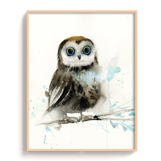 Owl-X - The Manify