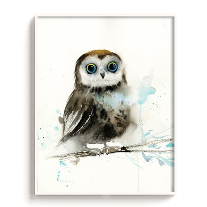Owl-X - The Manify