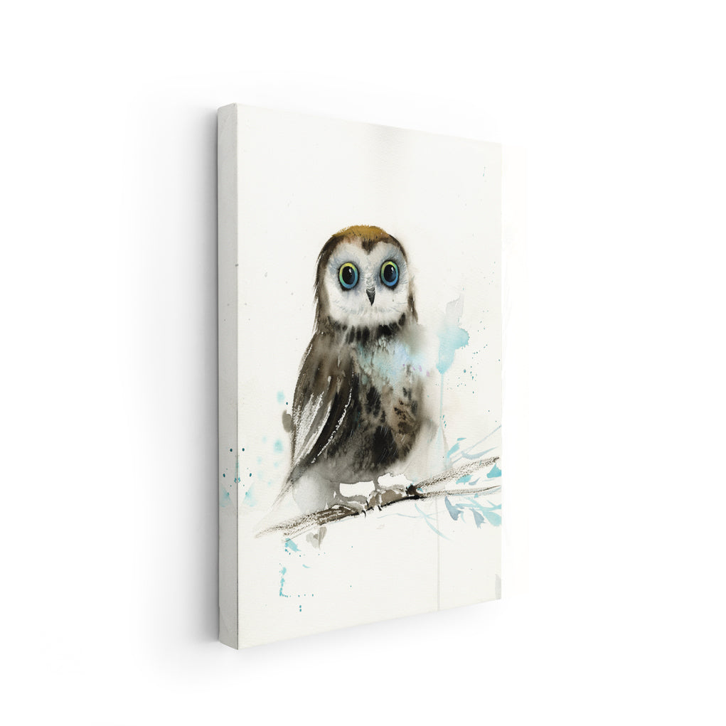 Owl-X - The Manify
