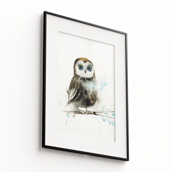 Owl-X - The Manify