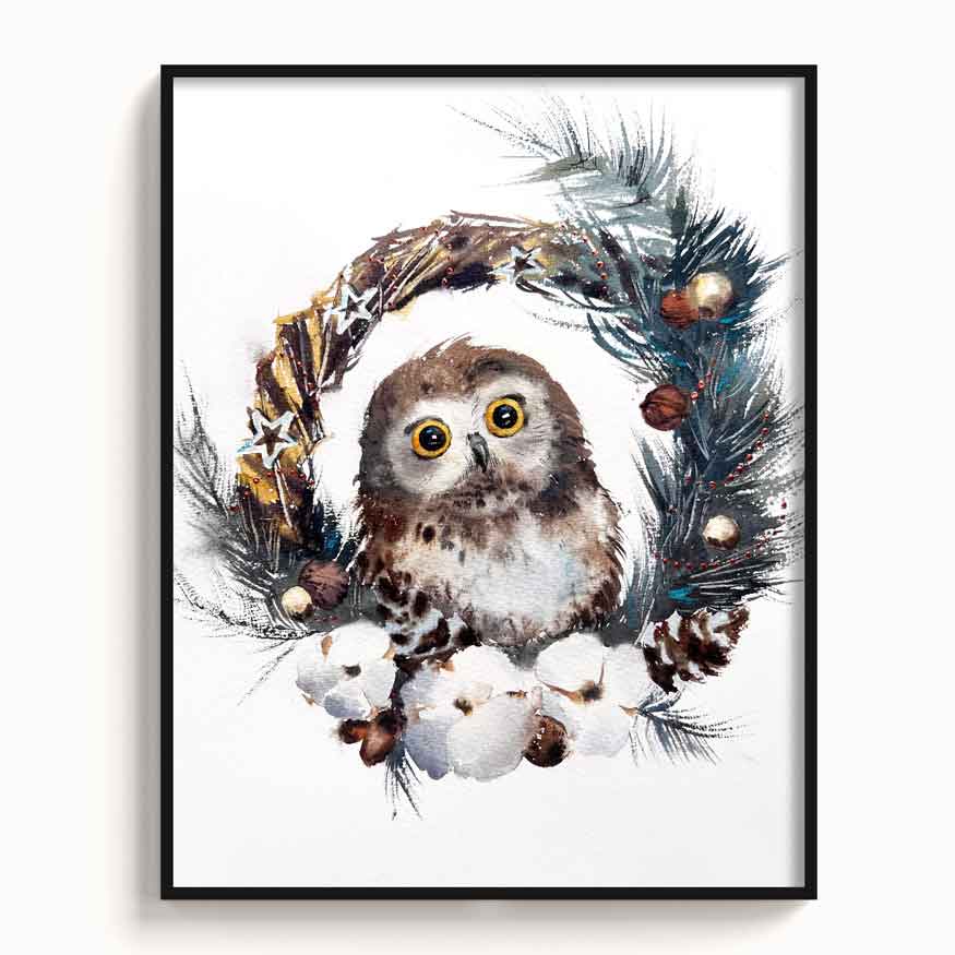 Owl-XI - The Manify