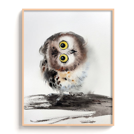 Owl-XIII - The Manify