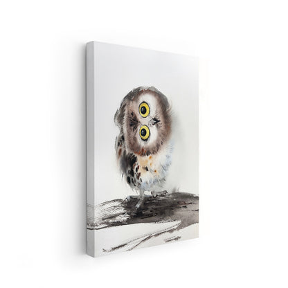 Owl-XII The Manify