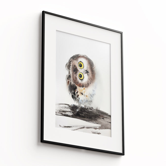 Owl-XIII - The Manify