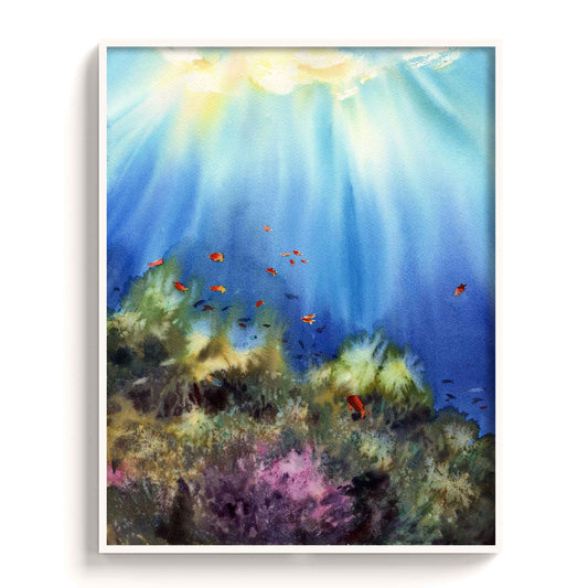 Seascape - The Manify