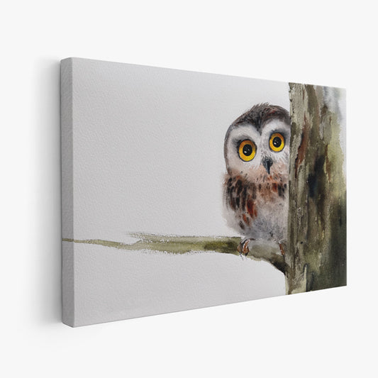 Owl-XIV - The Manify