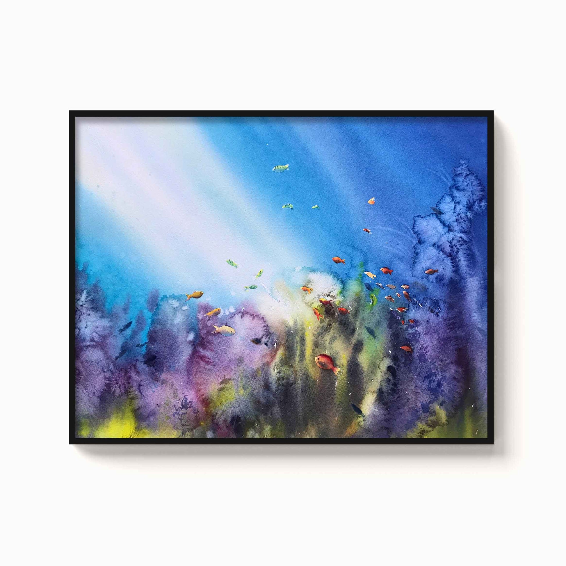Seascape - The Manify