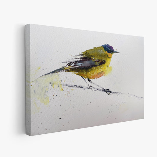 Birds-XV - The Manify