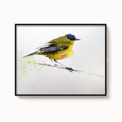Birds-XV - The Manify