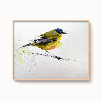 Birds-XV - The Manify