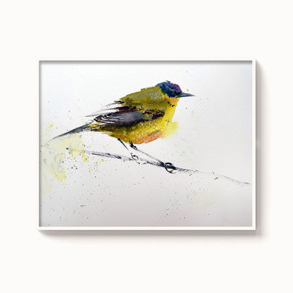 Birds-XV - The Manify