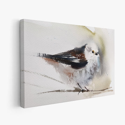 Birds-XVI - The Manify